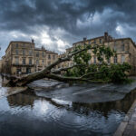 Un arbre déraciné barre une rue pavée et inondée de Montpellier sous un ciel sombre et orageux.