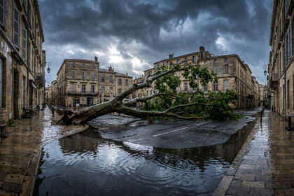 Un arbre déraciné barre une rue pavée et inondée de Montpellier sous un ciel sombre et orageux.
