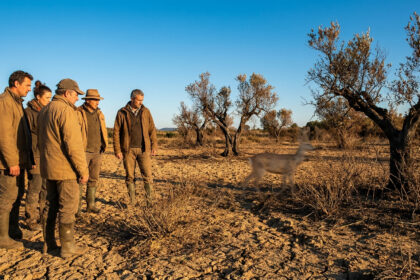 Un groupe de chasseurs observant un chevreuil s'enfuant dans un paysage aride et sec de l'Hérault.